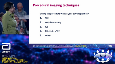 08 9-EH-5-16069-01 04-2025 L_Sanchis_J_Saw V4